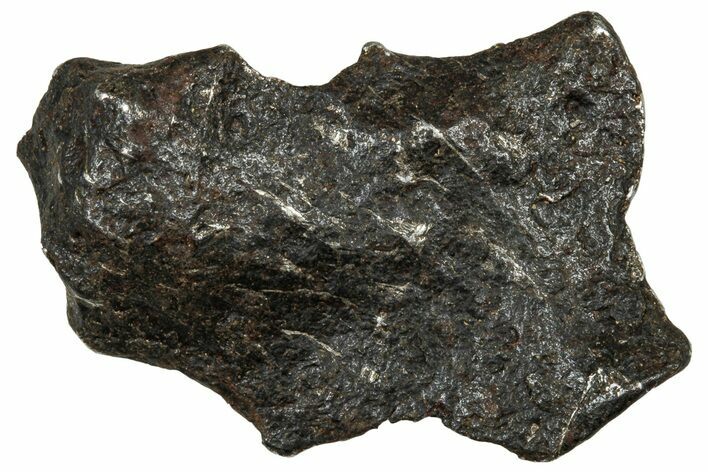 Canyon Diablo Iron Meteorite ( g) - Arizona #303548